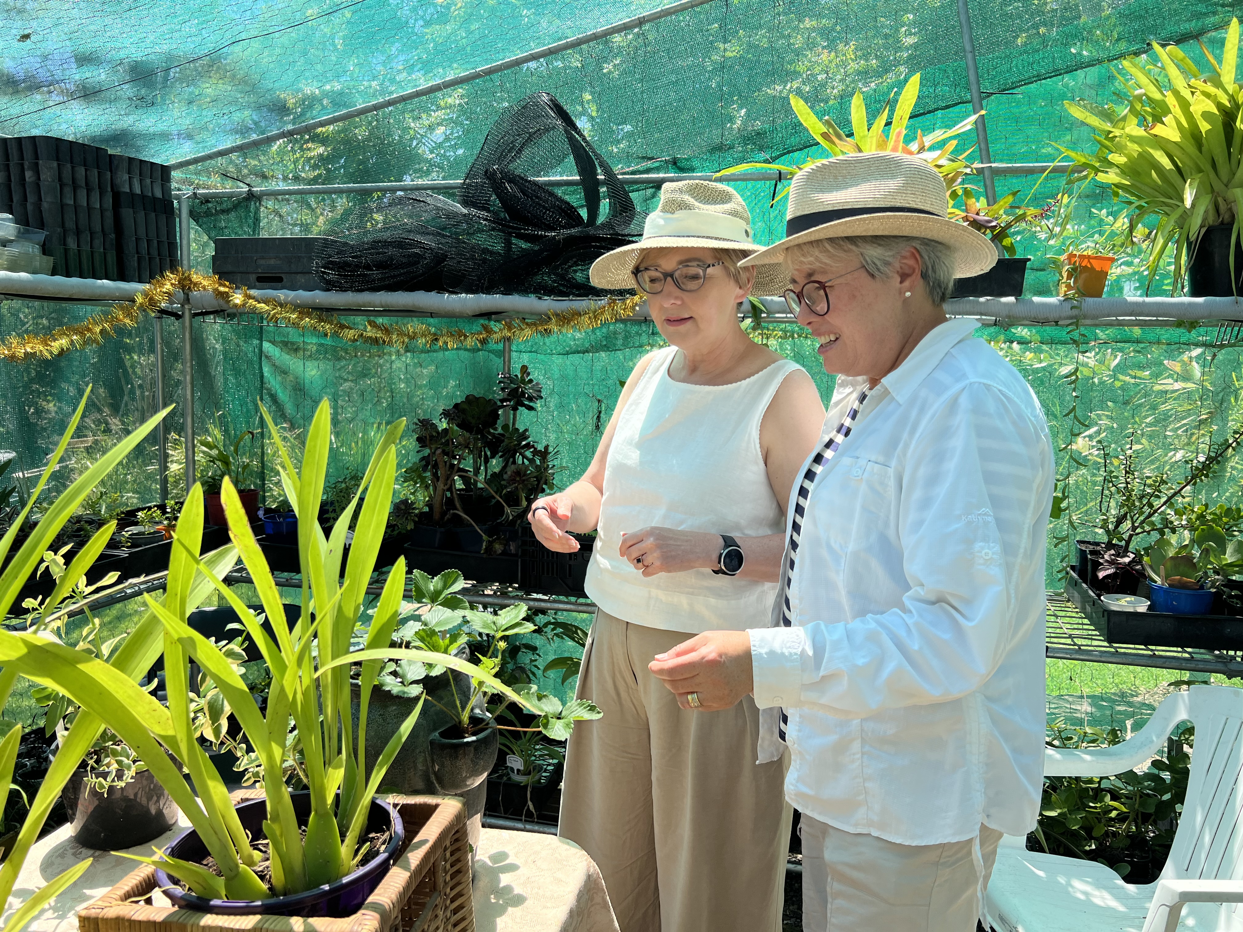 Green energy boost for Warners Bay Community Garden Main Image